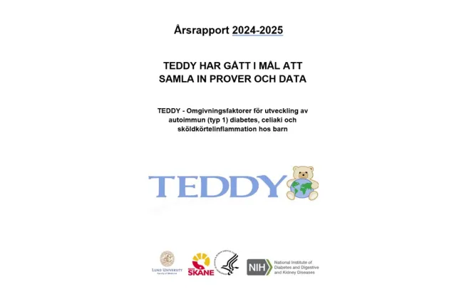Bild på första sidan på årsrapporten. TEDDY med stora bokstäver.
